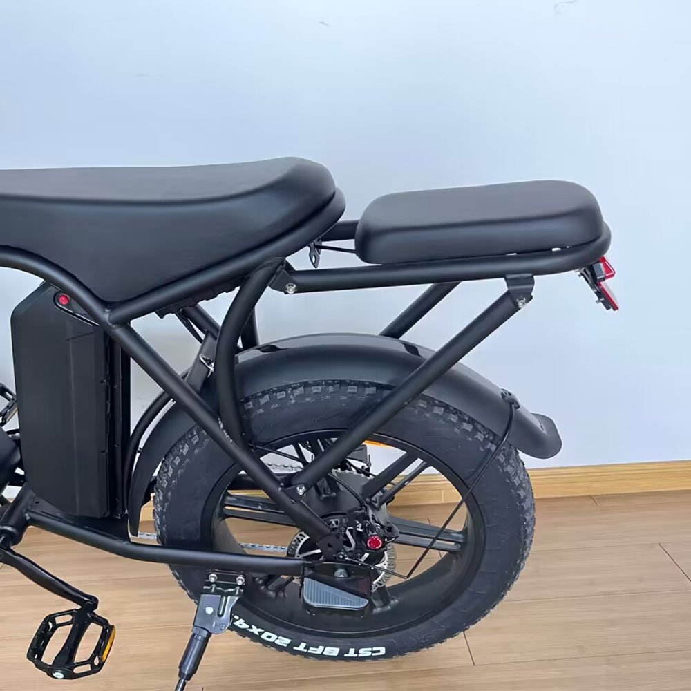 EU Warehouse 750w Long Range Step Through Ladies Torque Sensor Fat Tire Ebike Electric Hybrid Dirt Bike with Dual Battery