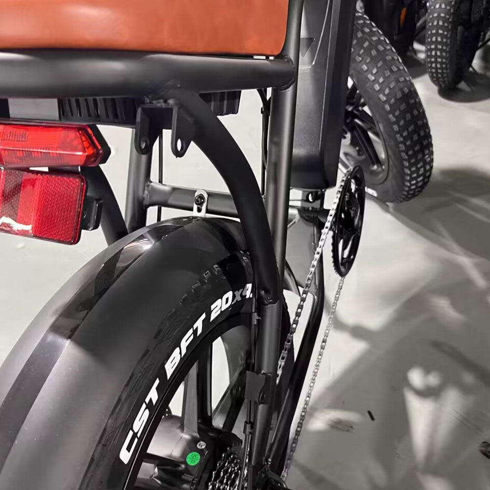 EU Warehouse 750w Long Range Step Through Ladies Torque Sensor Fat Tire Ebike Electric Hybrid Dirt Bike with Dual Battery