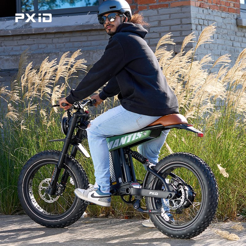 PXID mantis p6 fatbike 750w 1000w electric mountain bike china