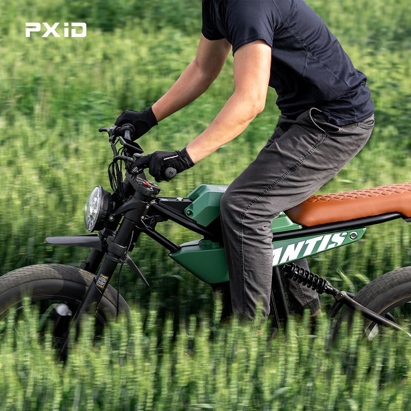 PXID mantis p6 fatbike 750w 1000w electric mountain bike china