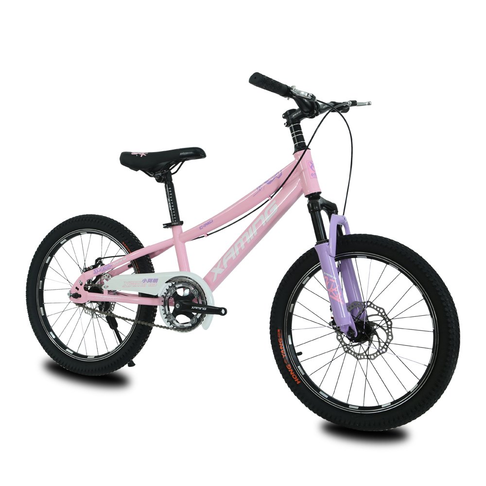 Wholesale price 21 speed variable speed bike 18-22 inch mountain bike for kids 8-16 years old