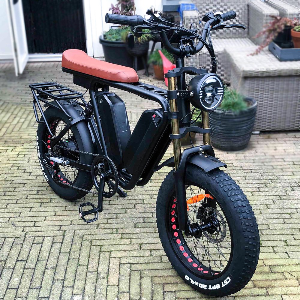Ready for Shipment 20inch Fat Tire Electric Mountain Bike Max Promax Motor Wall Frame Power Battery Torque Time Fun Charging Hub