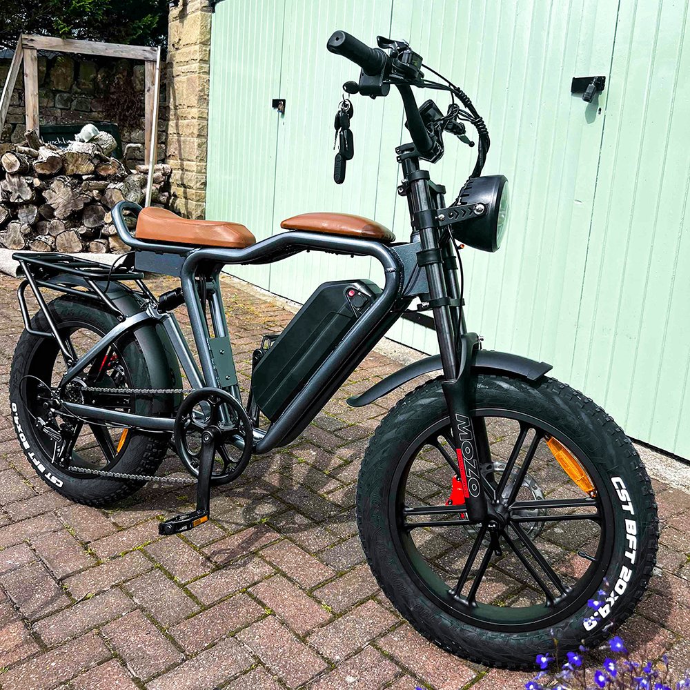 Ready for Shipment 20inch Fat Tire Electric Mountain Bike Max Promax Motor Wall Frame Power Battery Torque Time Fun Charging Hub