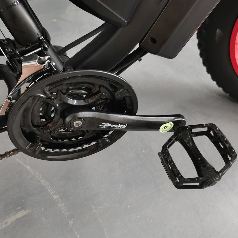 Factory Directly1000W Dual Motor E-Bike Beach Bike Zeegr Electric Bicycle Fat Tire Mountain Bike Ebike