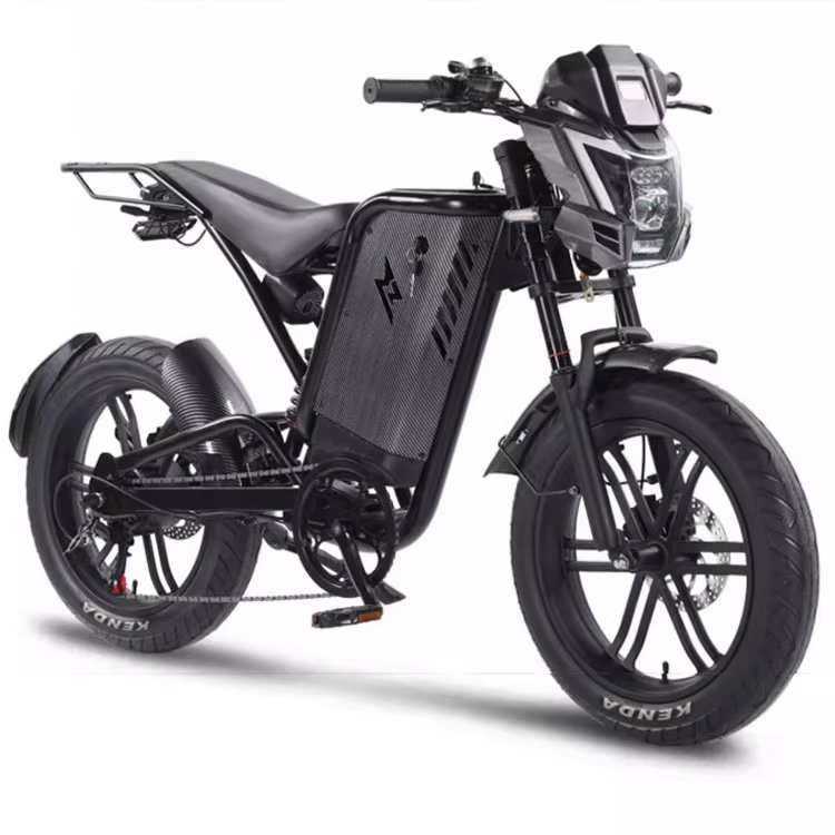 48V 1000W Fat Tire Electric Dirt Bikes for Adults All-Terrain Aluminum Alloy Mountain Bikes with Hub Motor Rear Hub