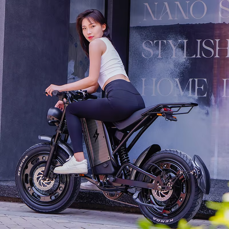 48V 1000W Fat Tire Electric Dirt Bikes for Adults All-Terrain Aluminum Alloy Mountain Bikes with Hub Motor Rear Hub