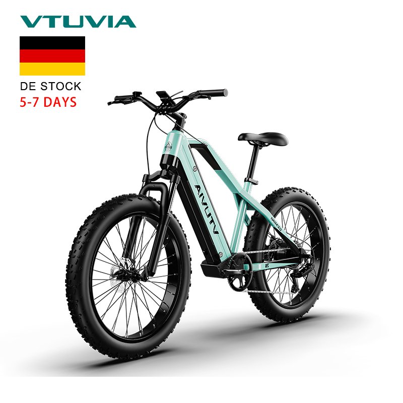 DE Warehouse Cheap 1000w 52v Motor Fat Tire Fast Speed Dual Battery Electric Mountain Dirt Bike City Bicycle From Chinese