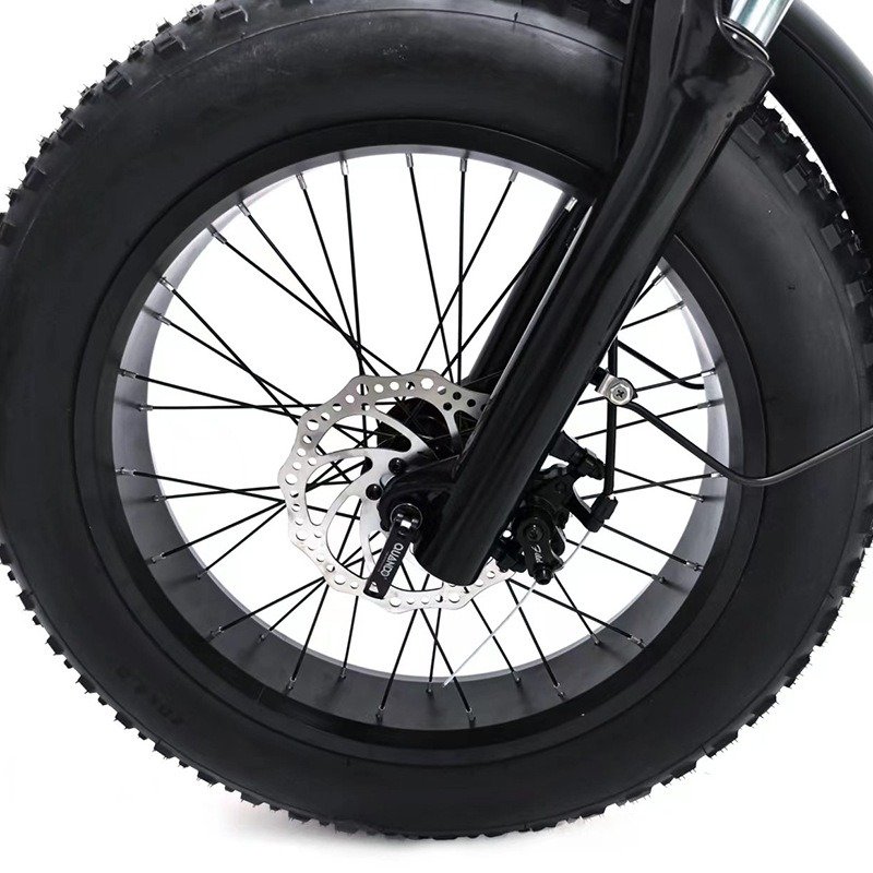 Adult Off-Road 20*4.0 Fat Tire Mountain Electric Bike 1000W Brushless Motor Add Rear Seat and Pedal Electric Mountain Bike