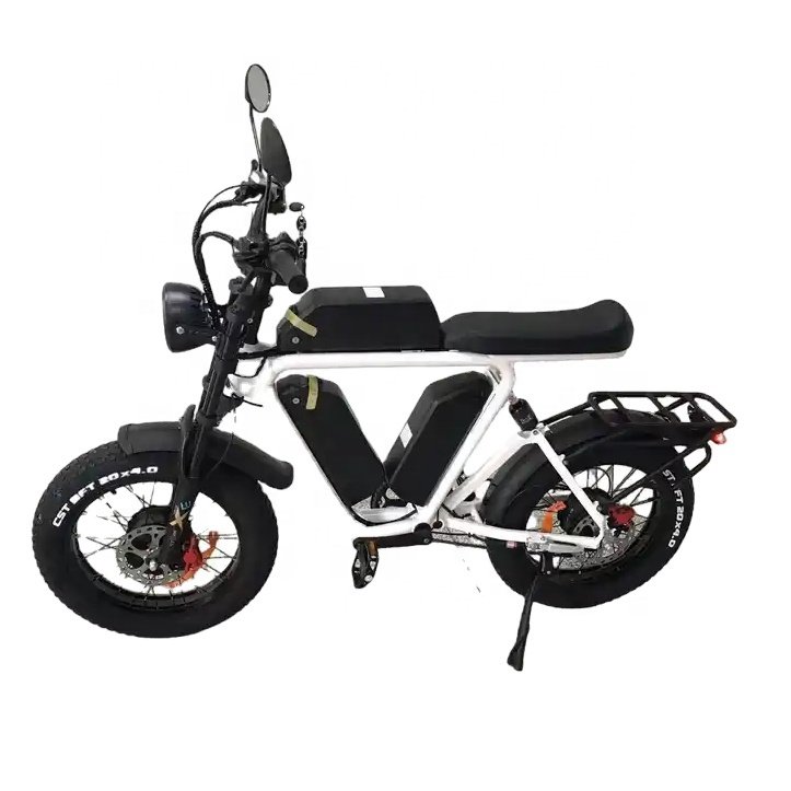 20 inch fat bike elettrica 2000w 66ah off road yolin triple lithium battery ebike fat tyre dual motor electric mountain bike