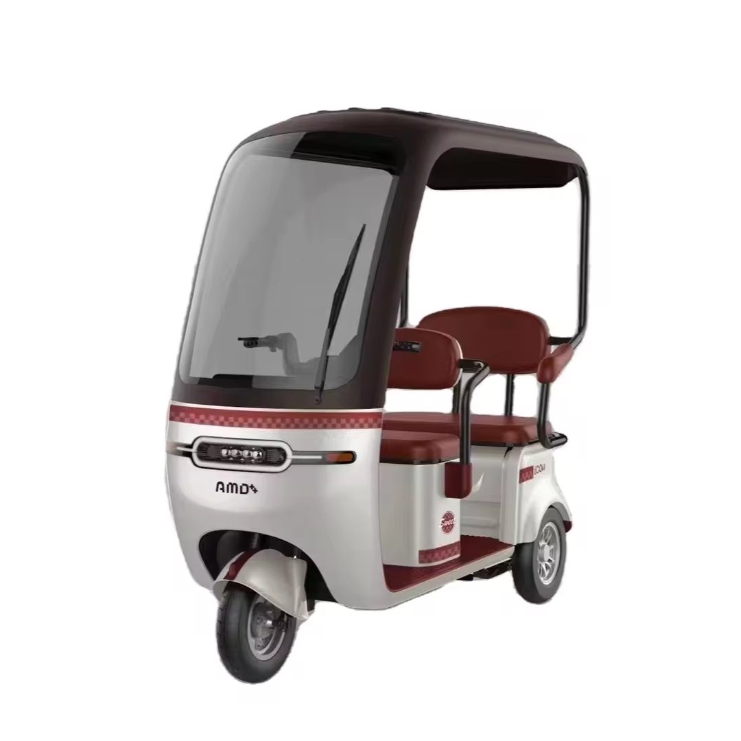 New Model Electric Pedicab for Elderly Fat Tire 3-Wheel Tricycle for Passenger and Cargo Transport