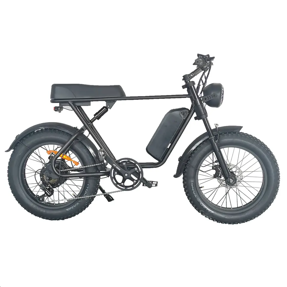 High speed 1000W Fat Tire Electric bicycle 48v disc brake electric mountain bike