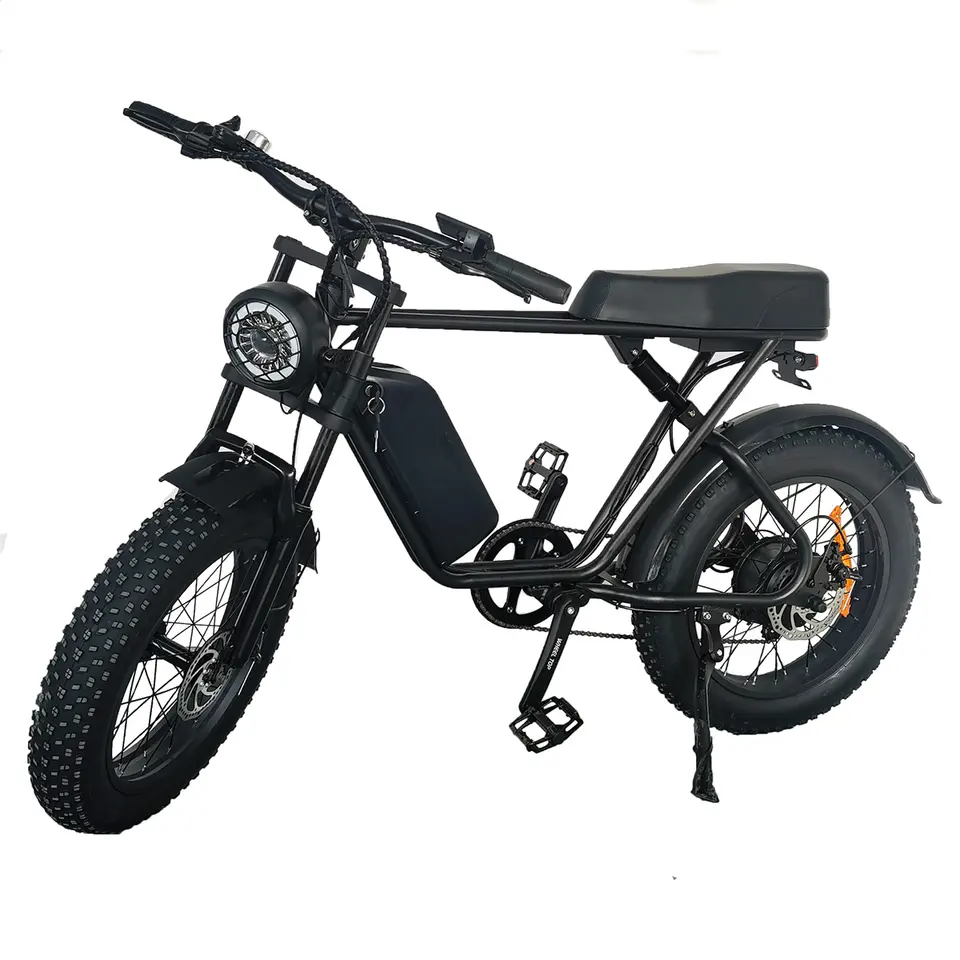 High speed 1000W Fat Tire Electric bicycle 48v disc brake electric mountain bike