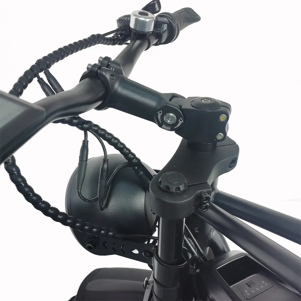 High speed 1000W Fat Tire Electric bicycle 48v disc brake electric mountain bike