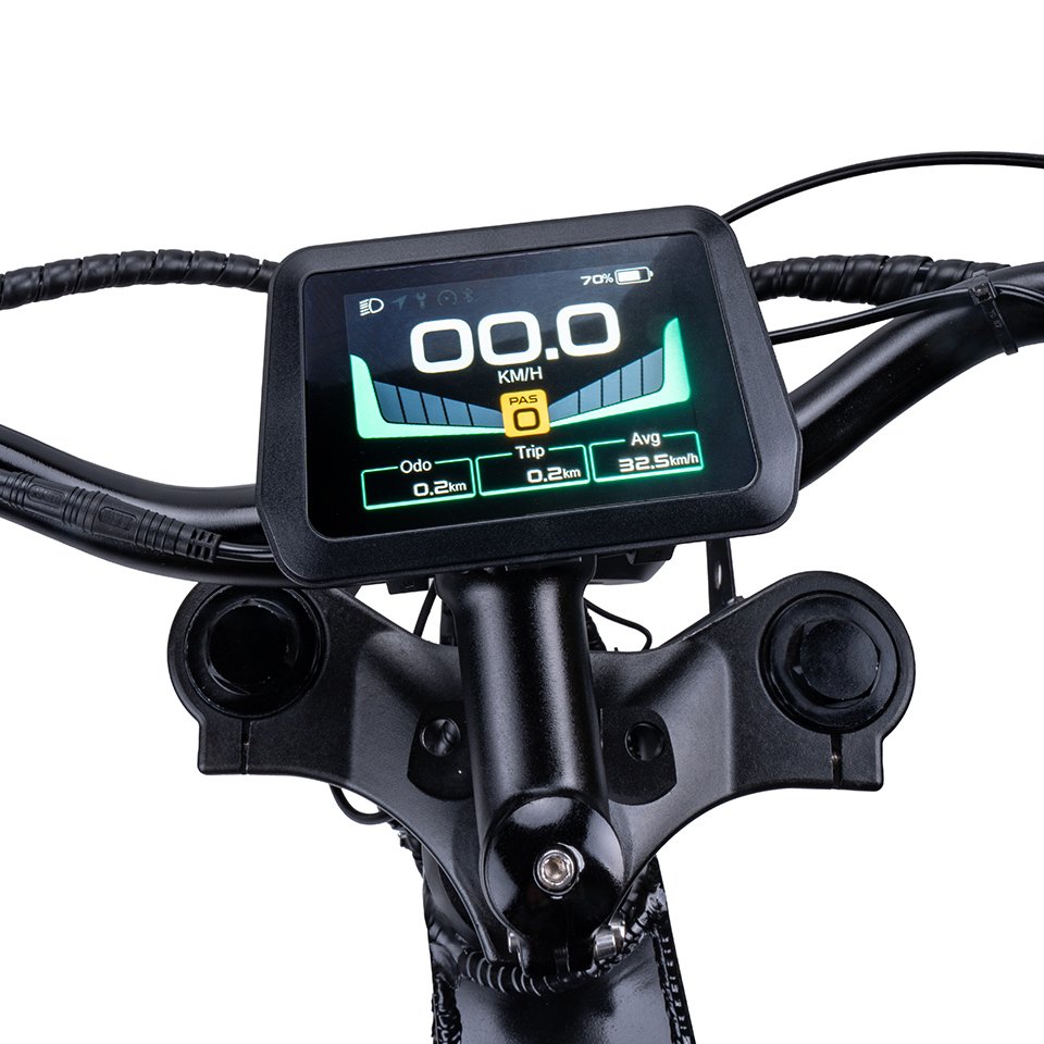 Long driving distance e bike 48V Lithium Battery 750W Motor Aluminum Frame 20 Inch Fat Tire Electric Mountain Bike Bicycle