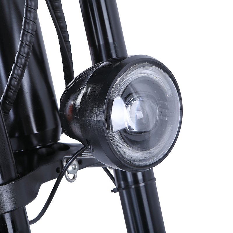 Long driving distance e bike 48V Lithium Battery 750W Motor Aluminum Frame 20 Inch Fat Tire Electric Mountain Bike Bicycle