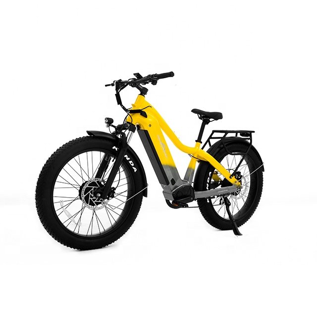 New listing fat tire electric beach cruiser 48v electric mountain bike 1000w bafang ebike 30ah fat tire e cruiser bicycle