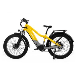 RST/MOZO front fork