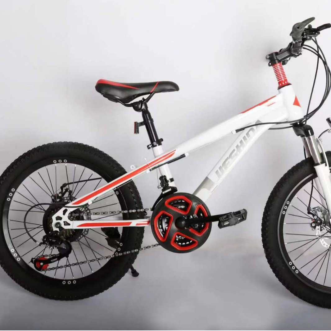 Children's Variable Speed Mountain Bike Boy & Girl Pedal Bicycle with Steel Fork Manufacturer Cross-Border Wholesale