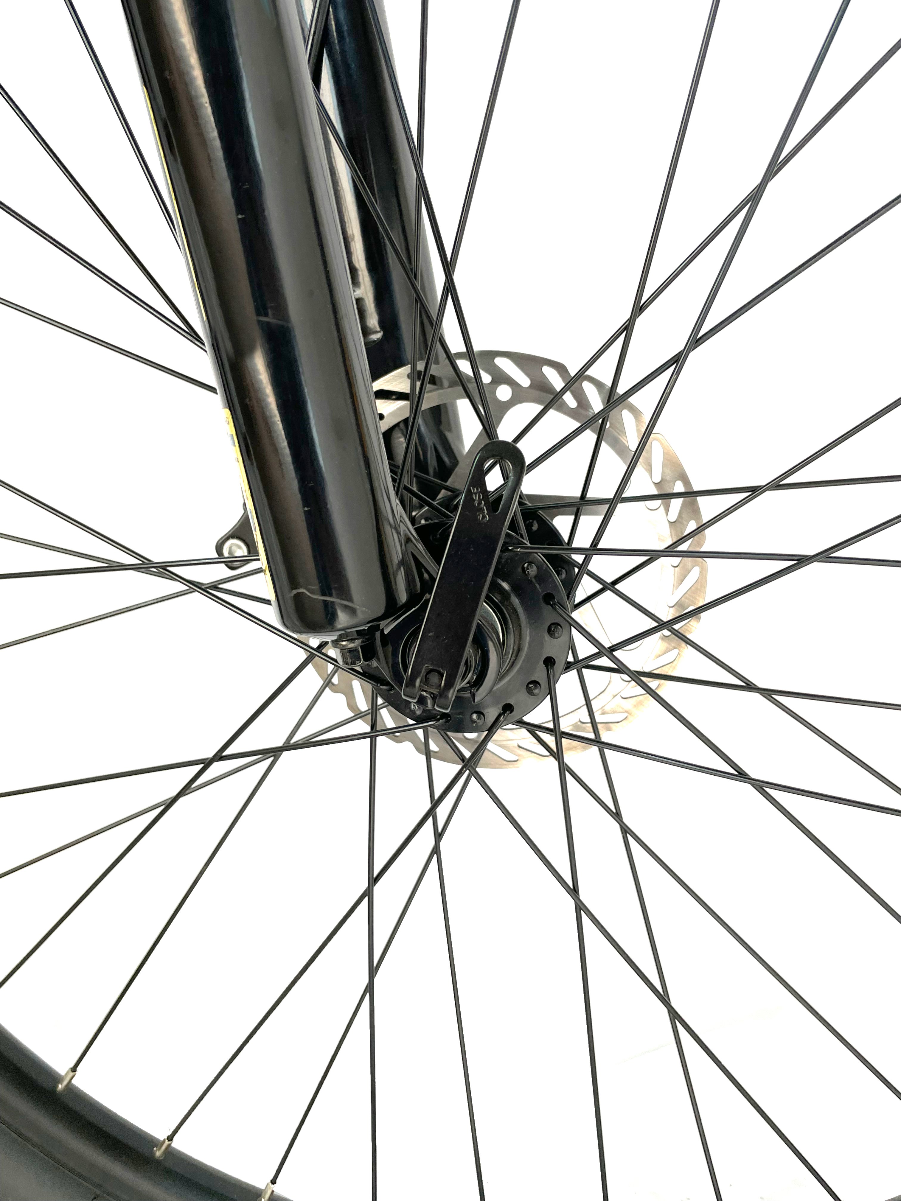 Delivery bicycle 12.5ah /48v lithium battery 350w motor Electric delivery bike Electric mountain bike
