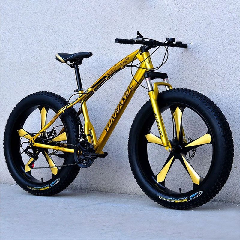 China Manufacturer Sport 21 Speed Fat Downhill Male Mountain Bike 26 29 inch Adults Beach Bicicletas Men Snow Bicycles