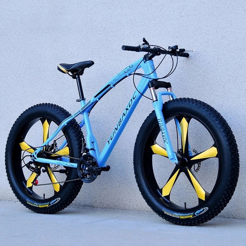 China Manufacturer Sport 21 Speed Fat Downhill Male Mountain Bike 26 29 inch Adults Beach Bicicletas Men Snow Bicycles