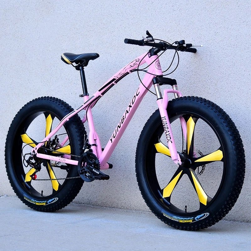 China Manufacturer Sport 21 Speed Fat Downhill Male Mountain Bike 26 29 inch Adults Beach Bicicletas Men Snow Bicycles