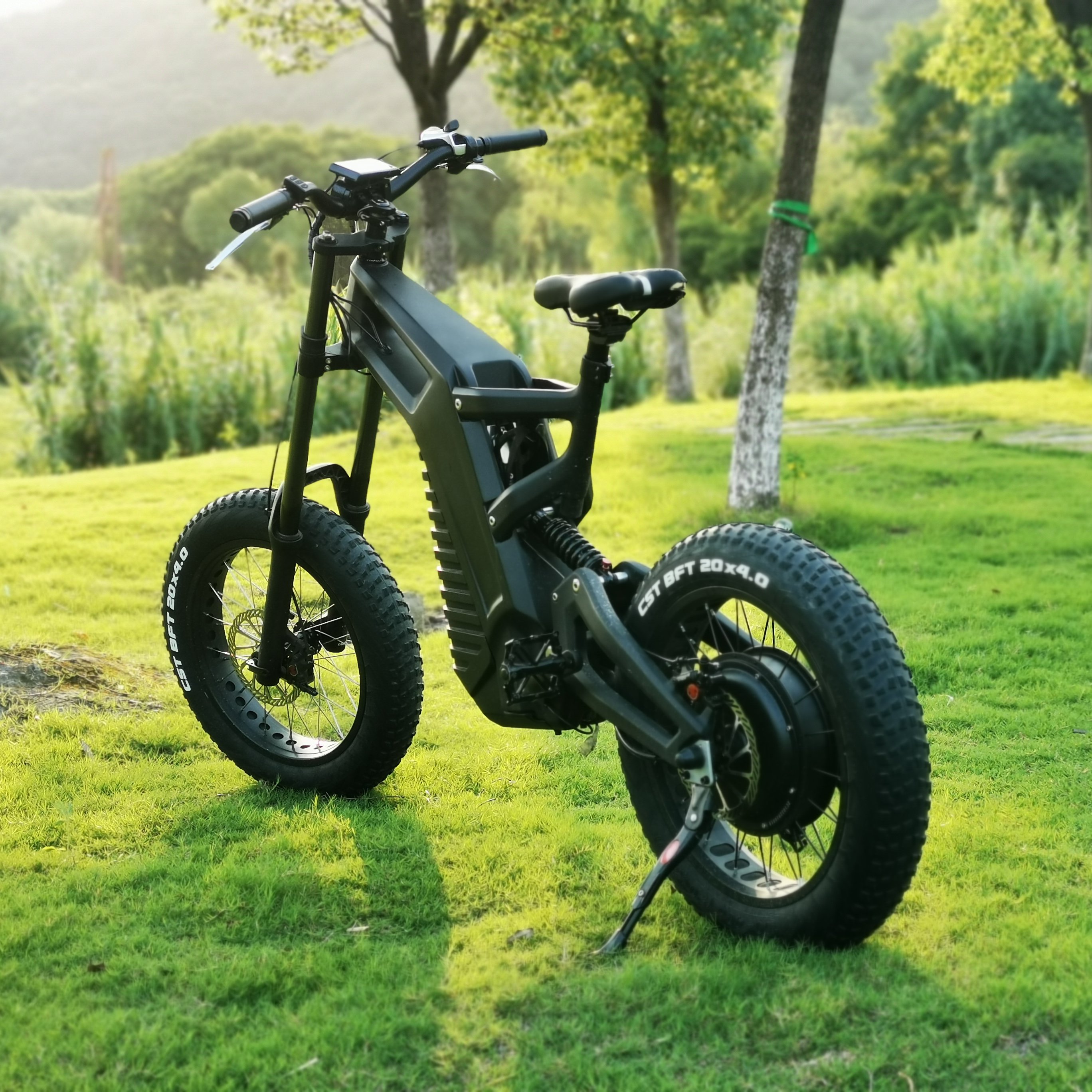 4 LEAF Ace Electric Bike Carbon Fiber Electric Bicycle 20inch Frame Power 48V 1000w Electric Bike