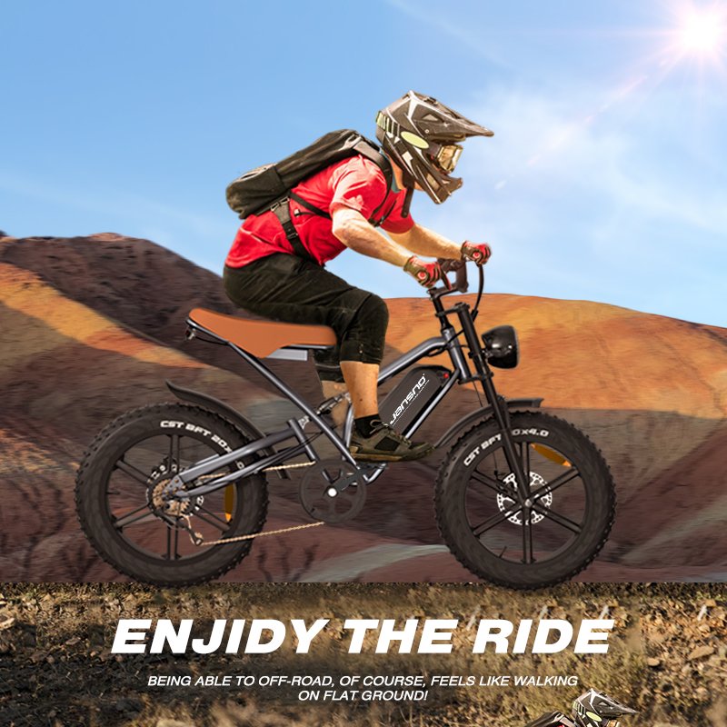 Europe Usa Electric Bicycle City 750w 7 Speed Electric Bike E Road Ebike 20inch Mountain Off-road Electric Bike E Dirt Bike