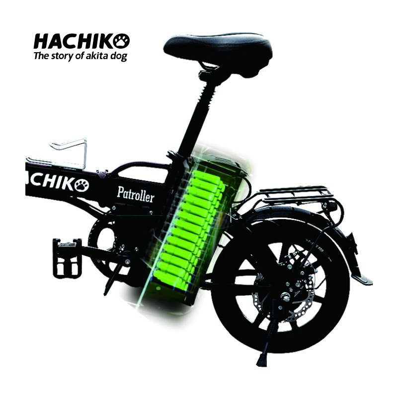 2024 new electric city bike customizable aluminum alloy 48V 12Ah long range 300W electric folding bike
