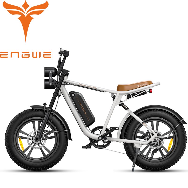 ENGWE M20 Single battery EU/US hotselling 48V13Ah 750W 20*4.0inch fat mountain tires Adult Fatbike mountain ebike Warehouse