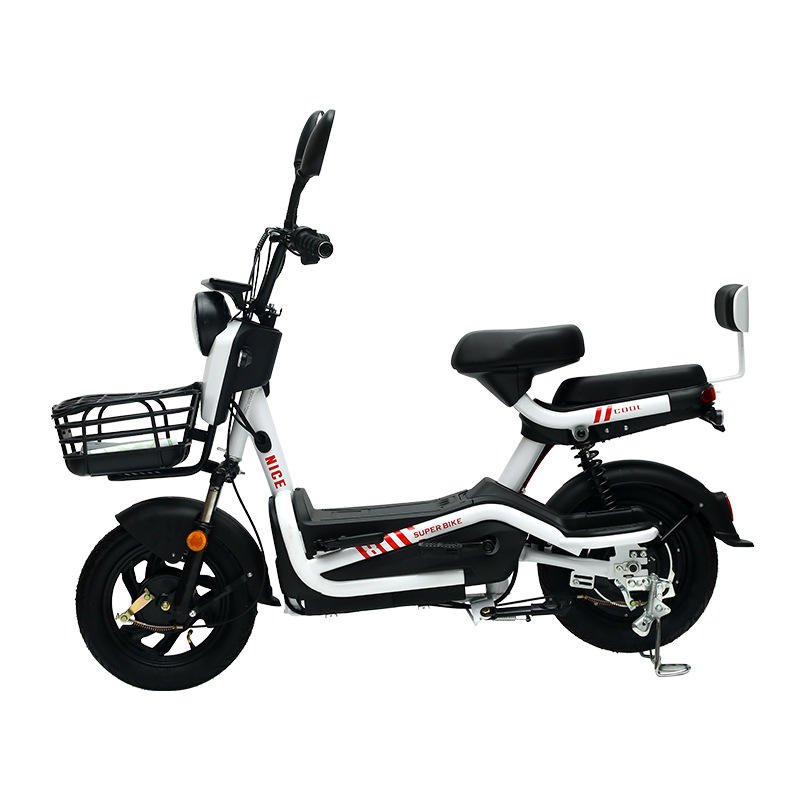 Cheap Price And Fast Electric Bicycle For Sale Good Quality Electric City Bike With Two Seats For Adult