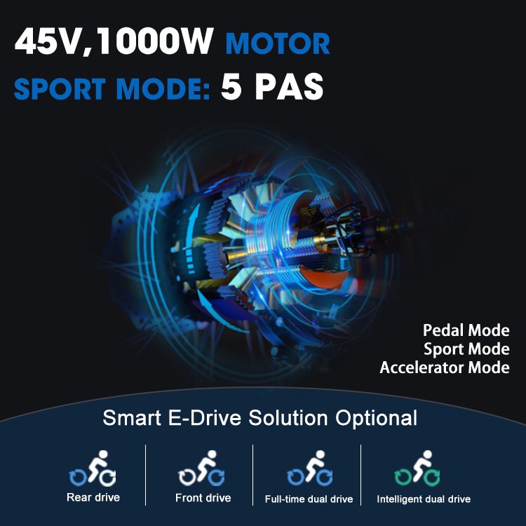 24 inch Fat Tire Dual Drive 1000W 48V 15AH 10AH Lithium Battery 7 Speed Dirt eBike Aluminum Alloy Adult Mountain Electric Bike