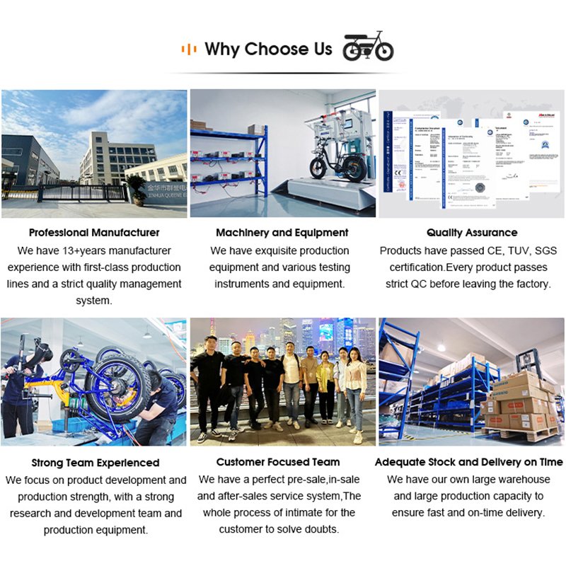 Queene Portable 250W 500W 750W 48V 20 Inch City Ebike Fat Tire Step Through Electric Bike Folding
