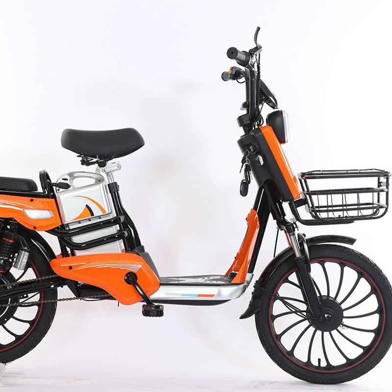 Y2-LD 48V 400W Rear Brushless Electric Mountain Bike with 20-Inch Fat Tire Popular Style CE Ebike Smart Electronic Bicycle