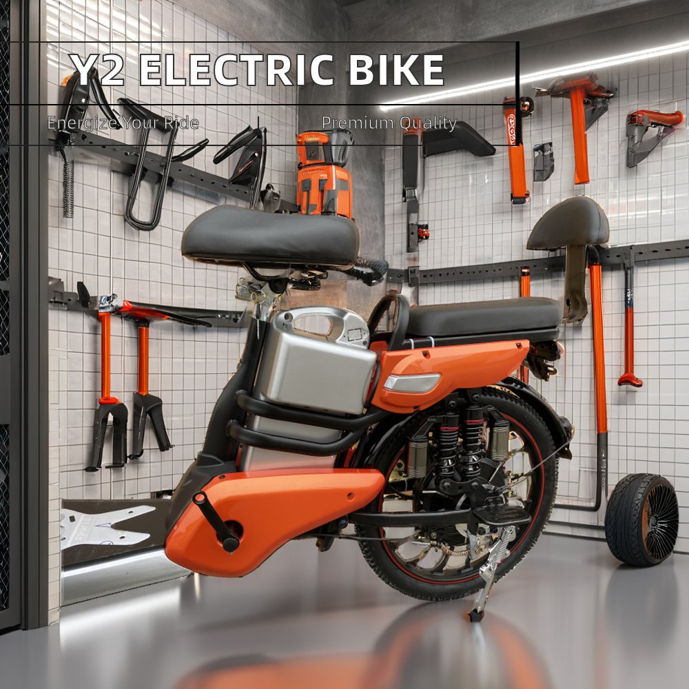 Y2-LD 48V 400W Rear Brushless Electric Mountain Bike with 20-Inch Fat Tire Popular Style CE Ebike Smart Electronic Bicycle