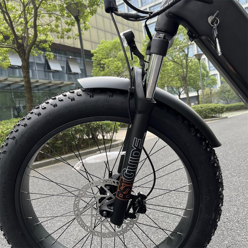 1000w 48v 20Ah Integrated Battery Mountain Bike Full Suspension Mid Drive Electric Bike with Central Motor