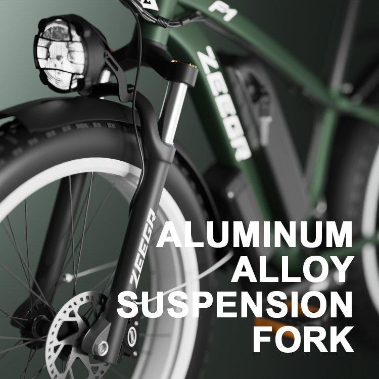 China 26 Inch 1000W Motor 48V E Bike Electric Mountain Bicycle Fat Tire Electric Bike