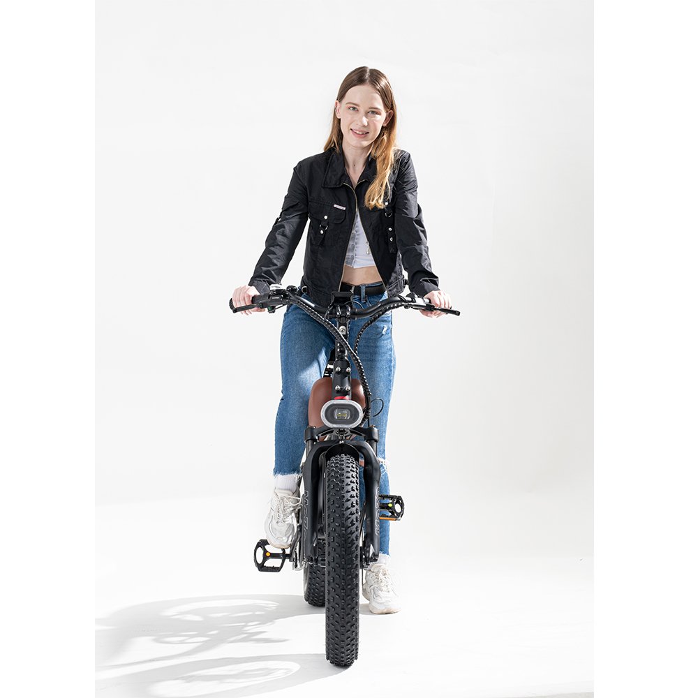 2022 BSK bike factory 20inch 500W 750W e bikes electric bicycle Big wheel electric mountain bike