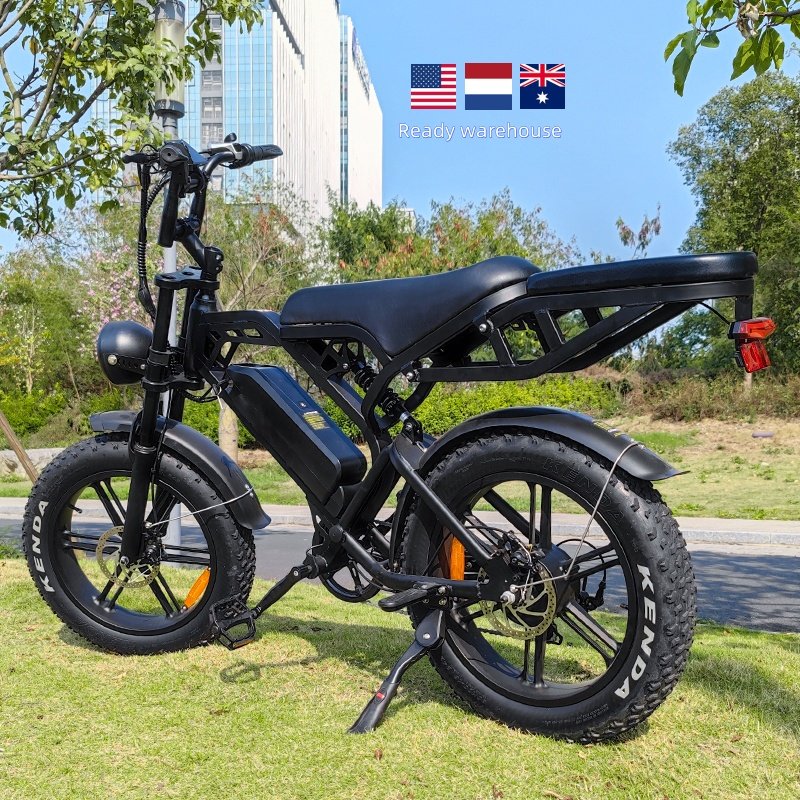 Usa Eu Warehouse Fast Shipping Original V20 pro Ebike Fat Tire Fatbike 1000w Electric Bicycle Electric Mountain Bike For Adults