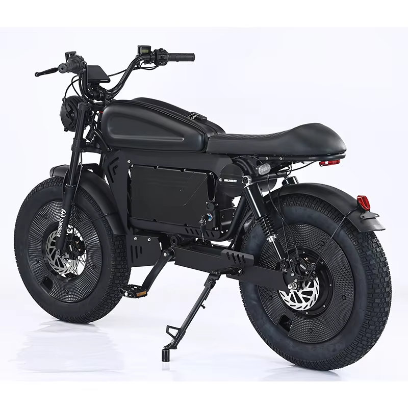20-Inch Hybrid Motorcycle Electric Bike Ebike 3000W 48V 33 Ah Central Motor Lithium Battery Power Supply Disc Brake System Tube
