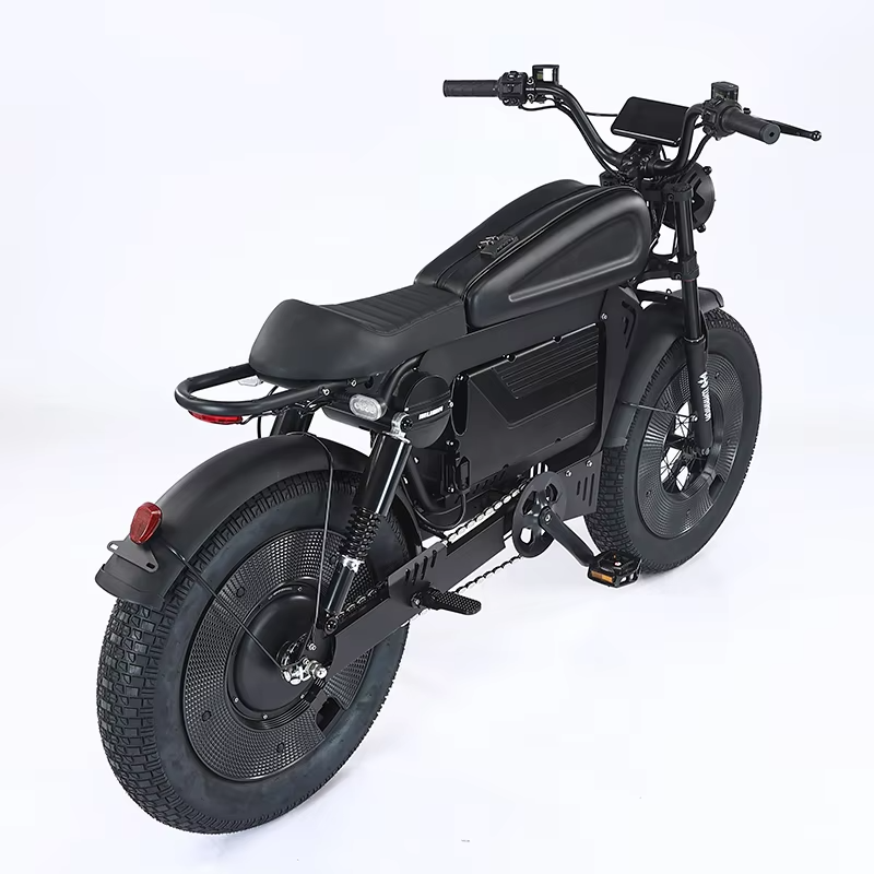 20-Inch Hybrid Motorcycle Electric Bike Ebike 3000W 48V 33 Ah Central Motor Lithium Battery Power Supply Disc Brake System Tube