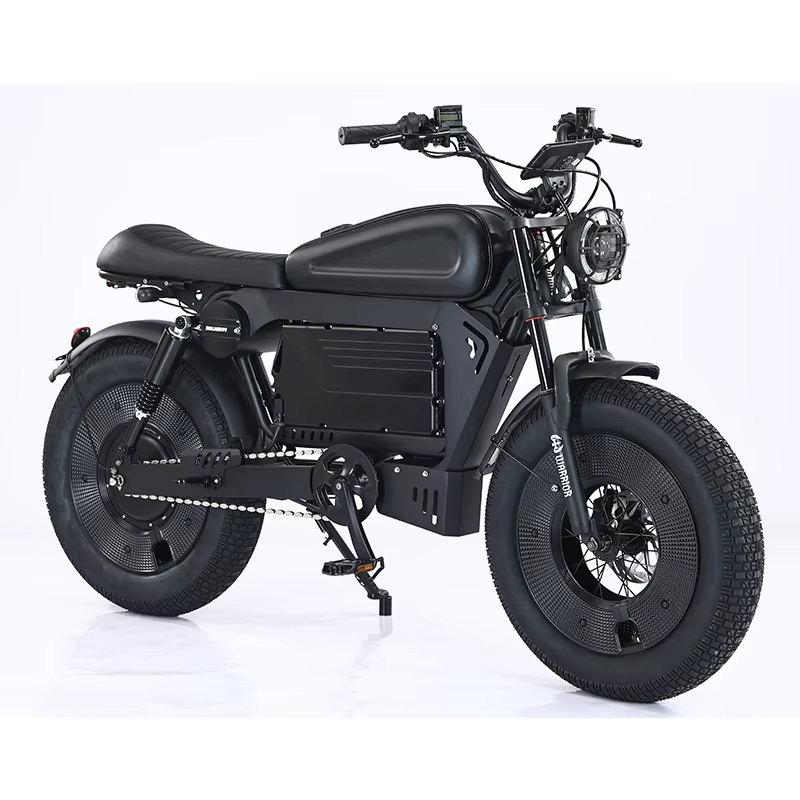 20-Inch Hybrid Motorcycle Electric Bike Ebike 3000W 48V 33 Ah Central Motor Lithium Battery Power Supply Disc Brake System Tube