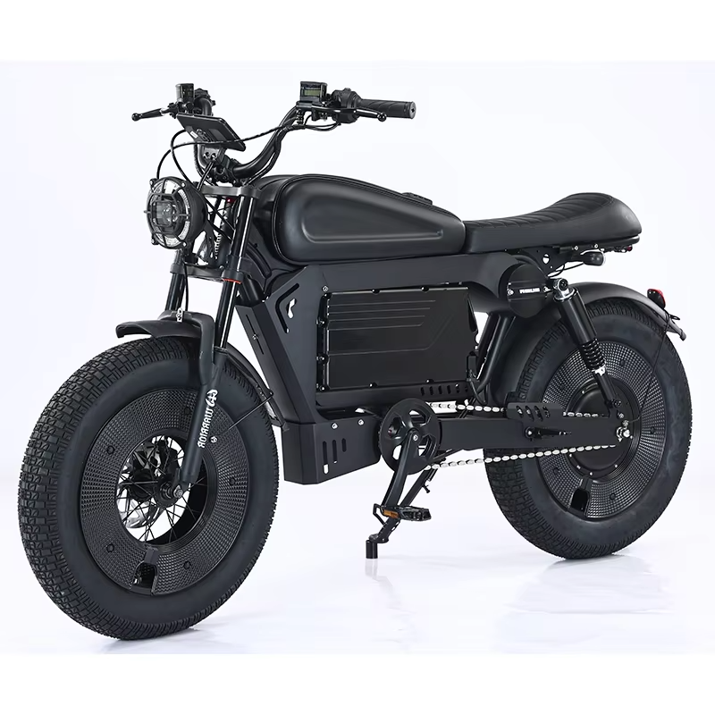 20-Inch Hybrid Motorcycle Electric Bike Ebike 3000W 48V 33 Ah Central Motor Lithium Battery Power Supply Disc Brake System Tube