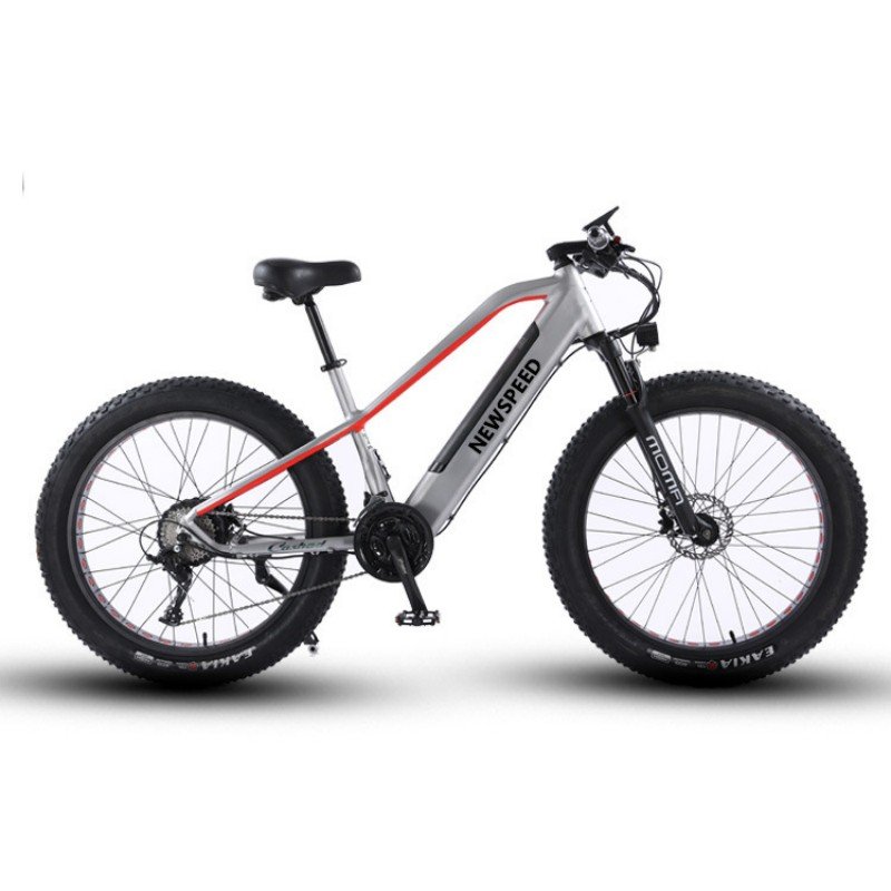 Hot Selling Classic Endurance Electric City Bike 250W/750W Motor Power Aluminum Alloy Frame Smart Rear Carrier Fat Tire