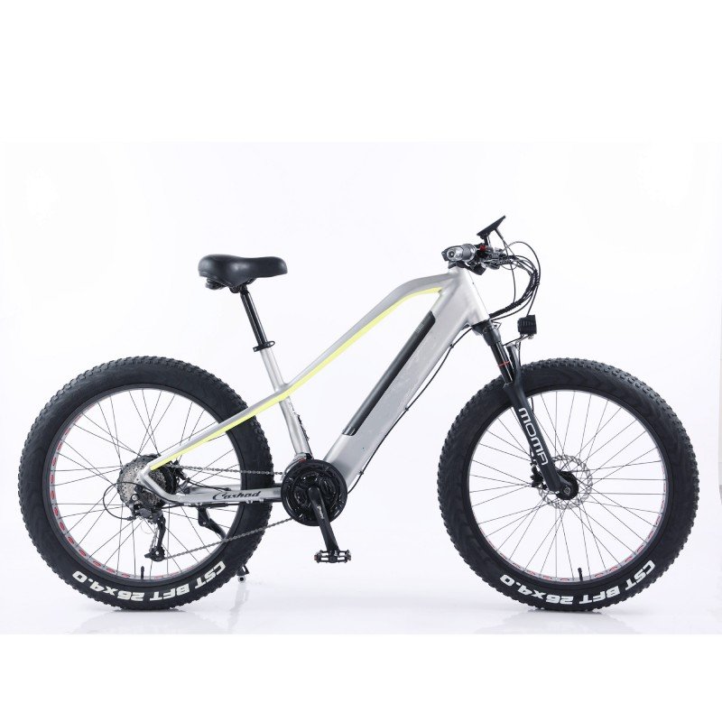 Hot Selling Classic Endurance Electric City Bike 250W/750W Motor Power Aluminum Alloy Frame Smart Rear Carrier Fat Tire
