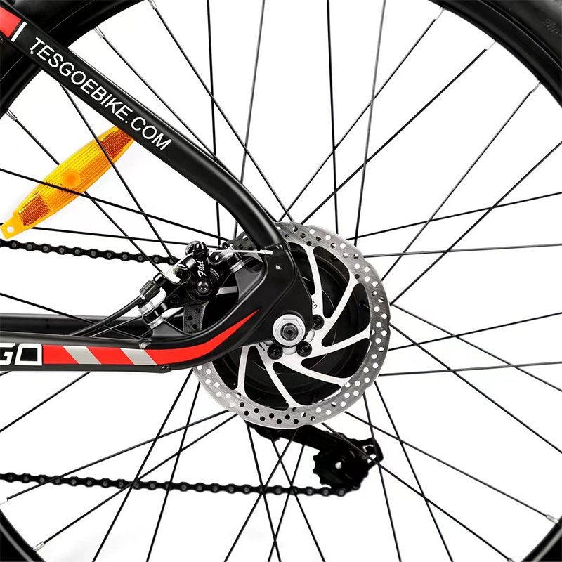 Equipped 26 Inch Fat Tire Support Multi-terrain Riding Using 750w Motor Powerful Adult Electric City Bike