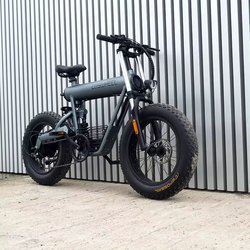 1000W 20AH
