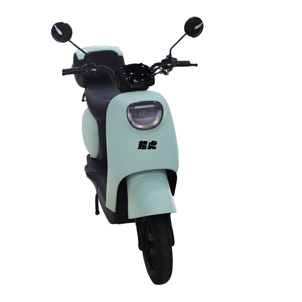 Chaohu Electric Bike High Power Wholesale Directly Brushless 48V 1000W Bike LED Light OEM Frame Battery Time Charging For Adult