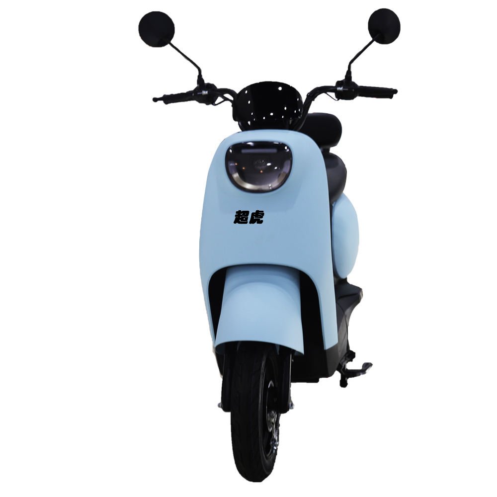 Chaohu Electric Bike High Power Wholesale Directly Brushless 48V 1000W Bike LED Light OEM Frame Battery Time Charging For Adult