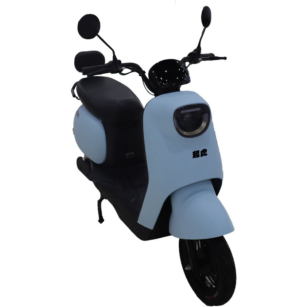 Chaohu Electric Bike High Power Wholesale Directly Brushless 48V 1000W Bike LED Light OEM Frame Battery Time Charging For Adult